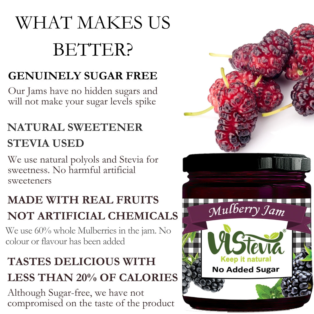 Sugar-Free Stevia Mulberry Jam (Limited Edition) – 220gm