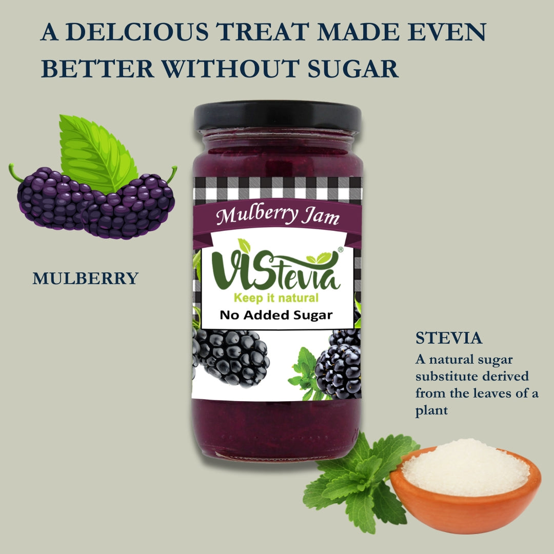 Vistevia Sugar Free Mulberry Jam, Diabetic and Keto Friendly - Sweetened Naturally With Stevia - Delicious To Taste, Pack of 1 (400G)