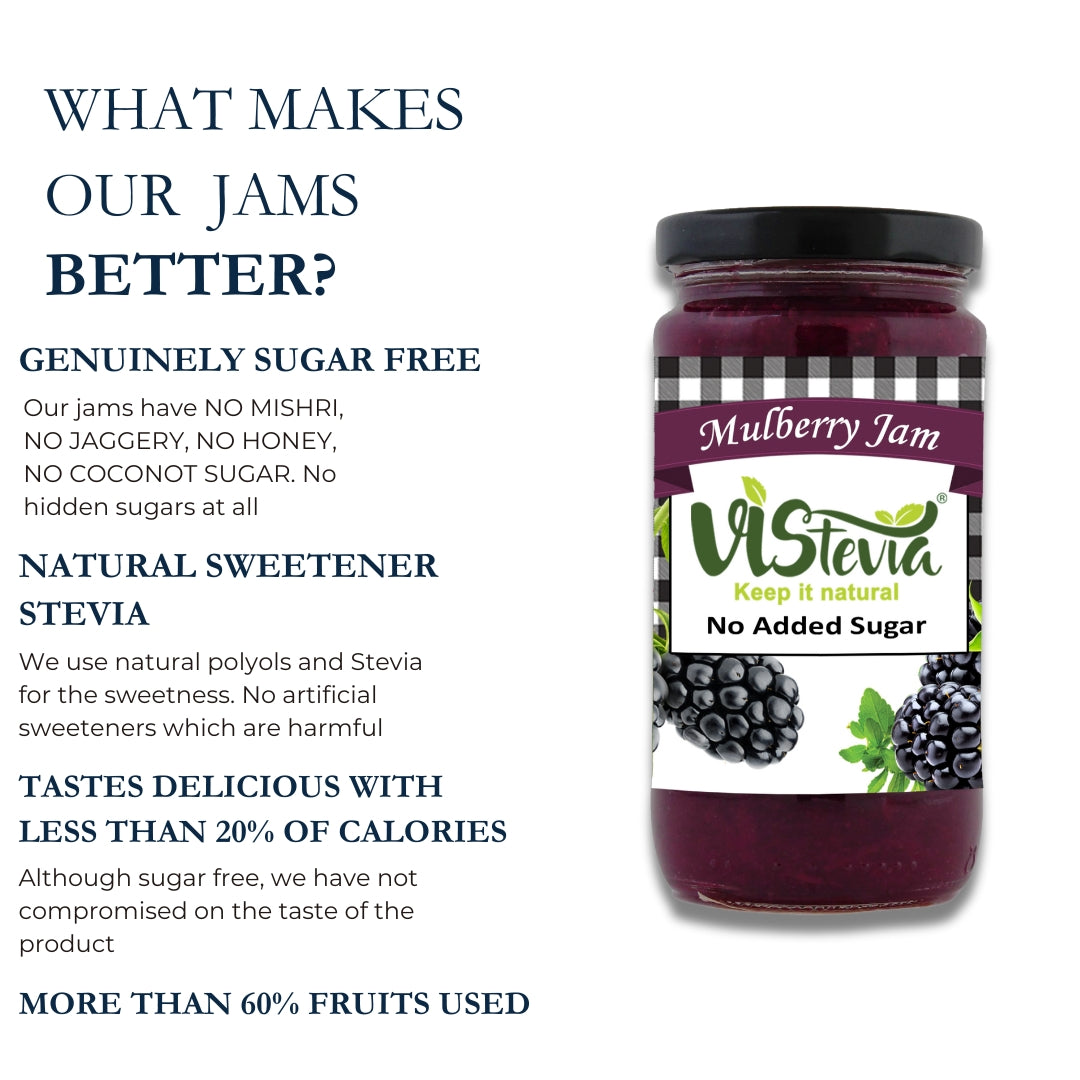 Vistevia Sugar Free Mulberry Jam, Diabetic and Keto Friendly - Sweetened Naturally With Stevia - Delicious To Taste, Pack of 1 (400G)